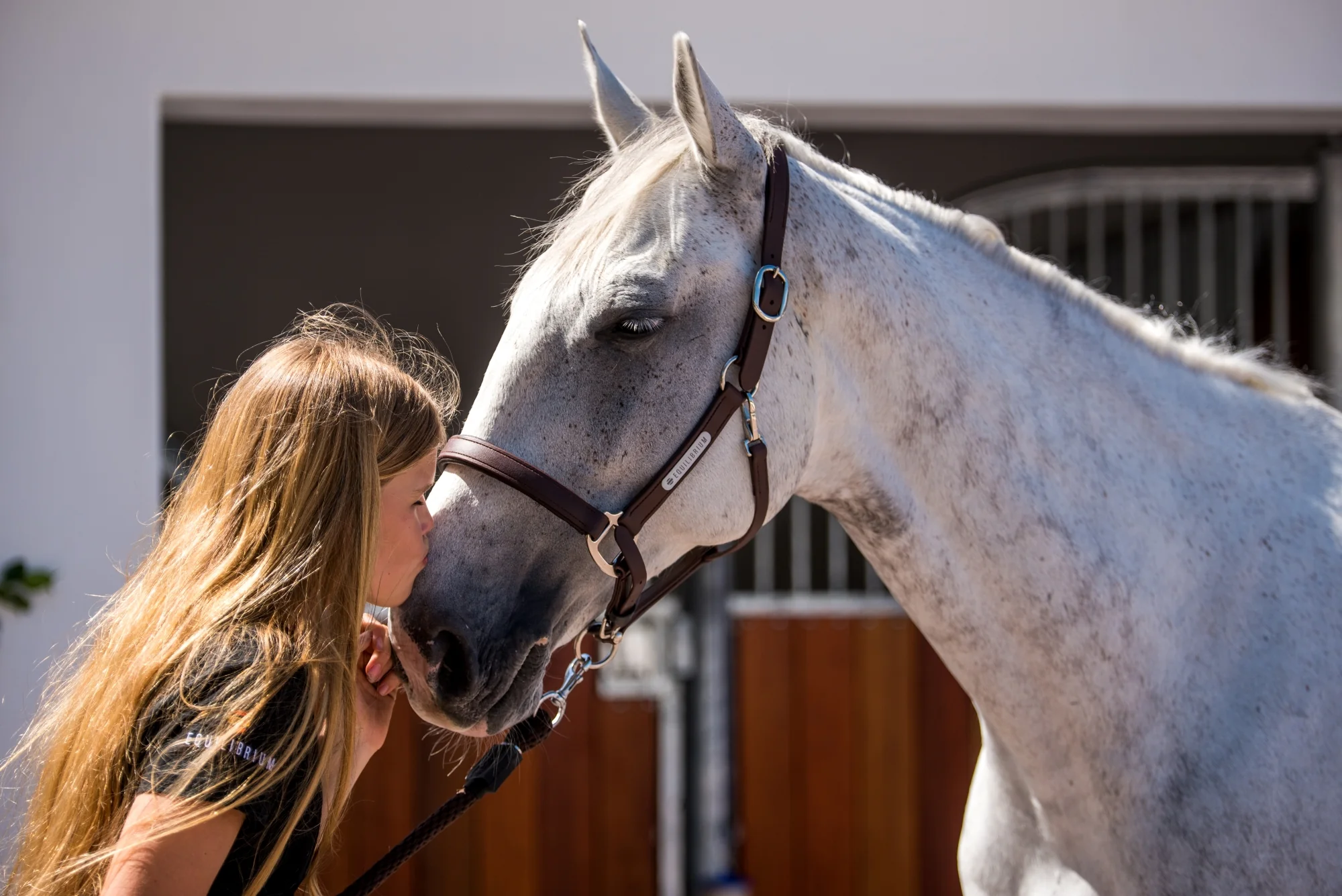 Elevate Your Horse's Natural Performance